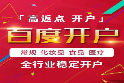 竞价推广策略：某电商平台的成功之路